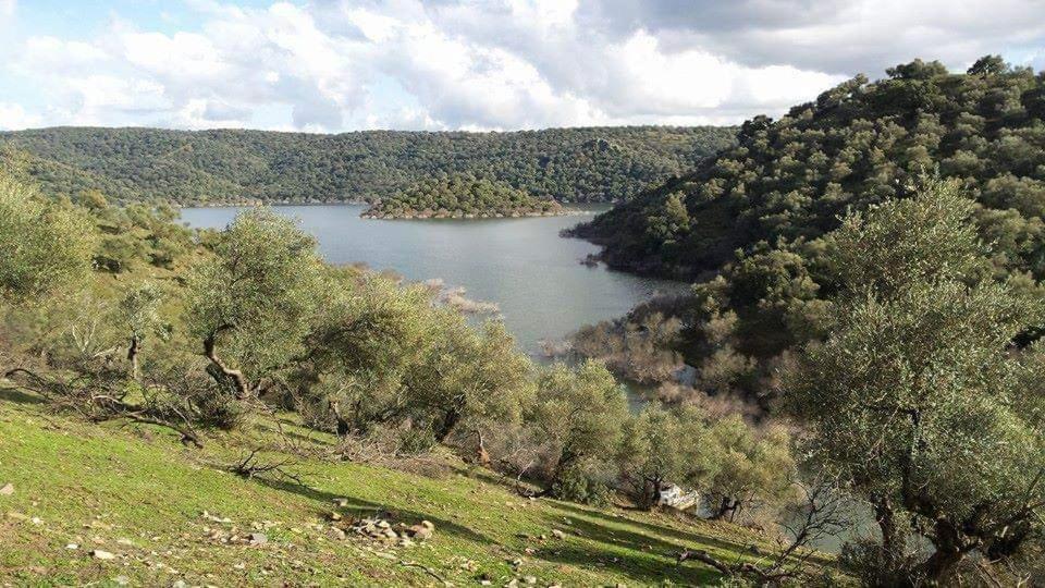 Casas Rurales El Balcon De La Brena Almodóvar del Río Eksteriør billede